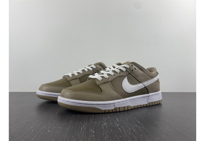 Nike Dunk Low Judge Grey DJ6188-200