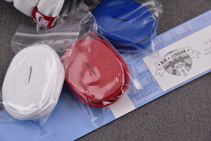 Trophy Room x Air Jordan 1 Low OG 