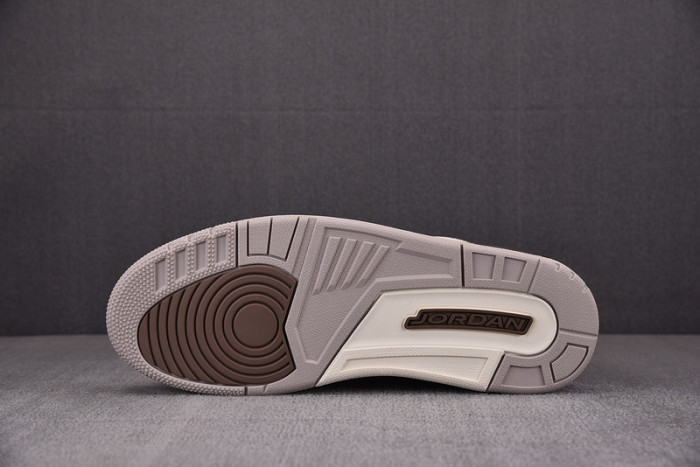 air jordan 3 "palamino" ct8532-102