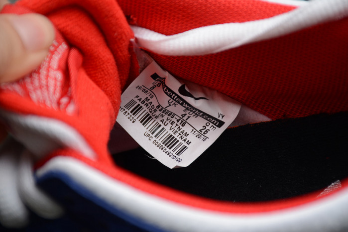 Nike Dunk SB Low Ishod Wair "BMW" - 839685-416